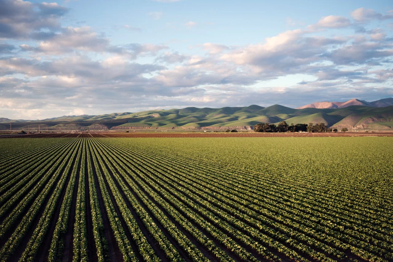 Lire la suite à propos de l’article L’Intérim en Agriculture