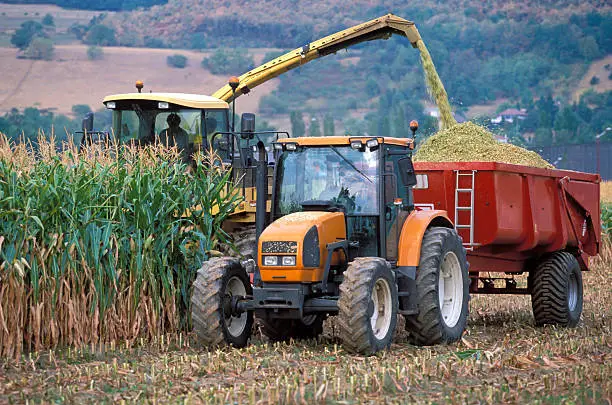 Lire la suite à propos de l’article Recruter des Ouvriers en Intérim pour le Secteur Agricole en France